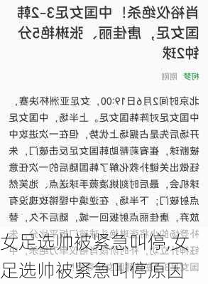 女足选帅被紧急叫停,女足选帅被紧急叫停原因