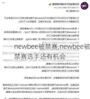 newbee被禁赛,newbee被禁赛选手还有机会