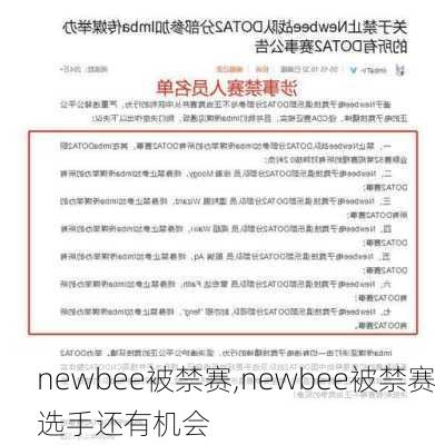 newbee被禁赛,newbee被禁赛选手还有机会