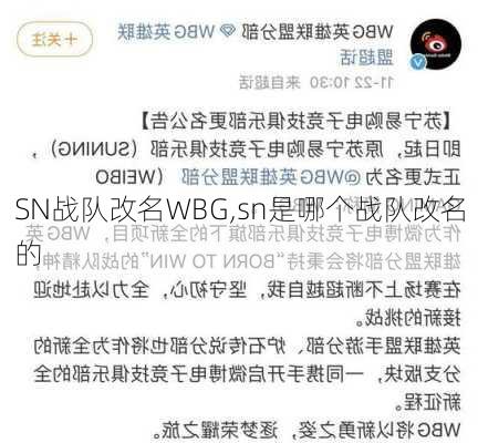 SN战队改名WBG,sn是哪个战队改名的