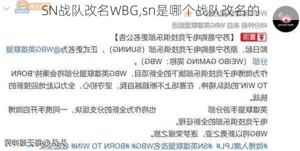 SN战队改名WBG,sn是哪个战队改名的