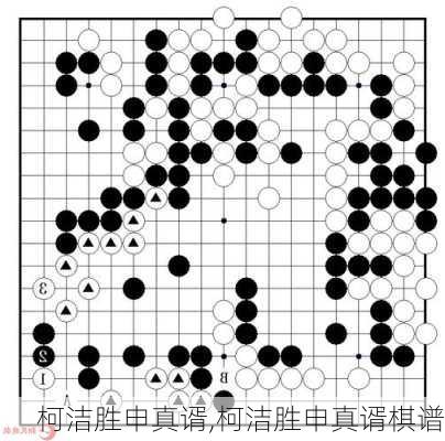 柯洁胜申真谞,柯洁胜申真谞棋谱