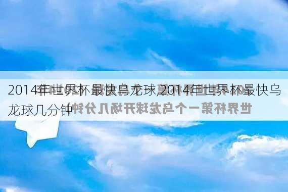 2014年世界杯最快乌龙球,2014年世界杯最快乌龙球几分钟