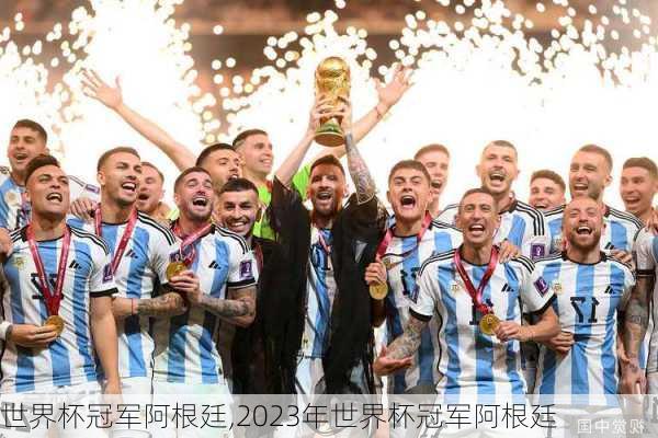 世界杯冠军阿根廷,2023年世界杯冠军阿根廷