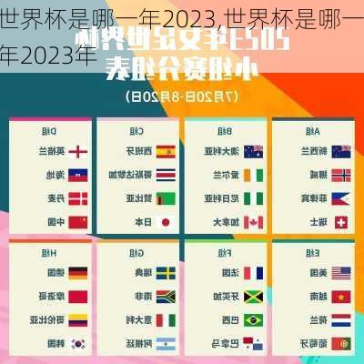 世界杯是哪一年2023,世界杯是哪一年2023年