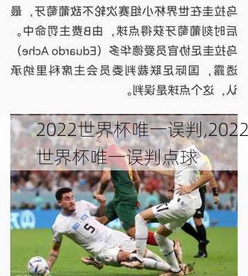 2022世界杯唯一误判,2022世界杯唯一误判点球