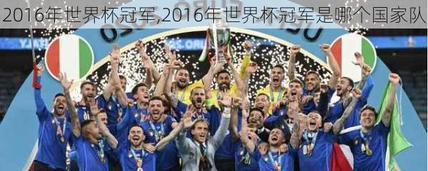 2016年世界杯冠军,2016年世界杯冠军是哪个国家队