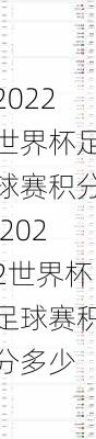 2022世界杯足球赛积分,2022世界杯足球赛积分多少