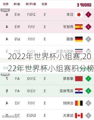 2022年世界杯小组赛,2022年世界杯小组赛积分榜