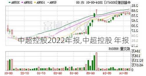 中超控股2022年报,中超控股 年报