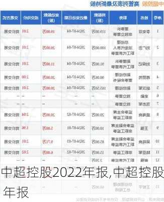 中超控股2022年报,中超控股 年报