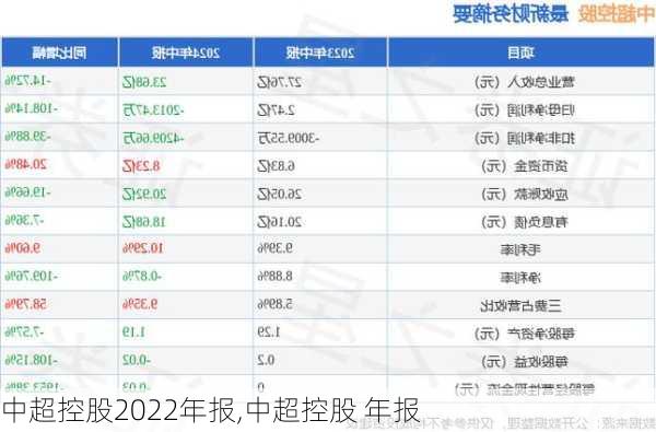 中超控股2022年报,中超控股 年报