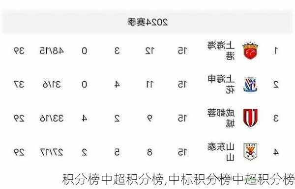 积分榜中超积分榜,中标积分榜中超积分榜