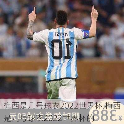 梅西是几号球衣2022世界杯,梅西是几号球衣2022世界杯的