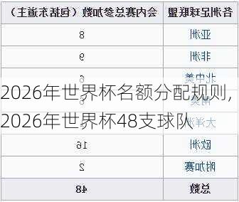 2026年世界杯名额分配规则,2026年世界杯48支球队