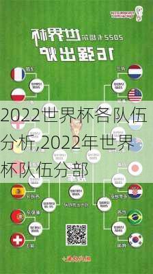 2022世界杯各队伍分析,2022年世界杯队伍分部