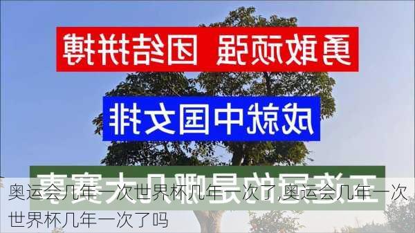 奥运会几年一次世界杯几年一次了,奥运会几年一次世界杯几年一次了吗