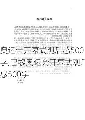 奥运会开幕式观后感500字,巴黎奥运会开幕式观后感500字