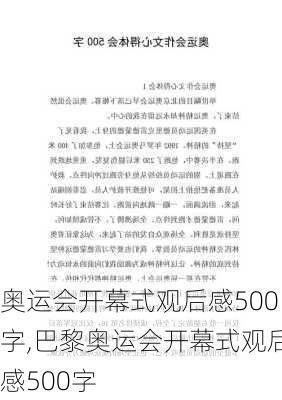 奥运会开幕式观后感500字,巴黎奥运会开幕式观后感500字