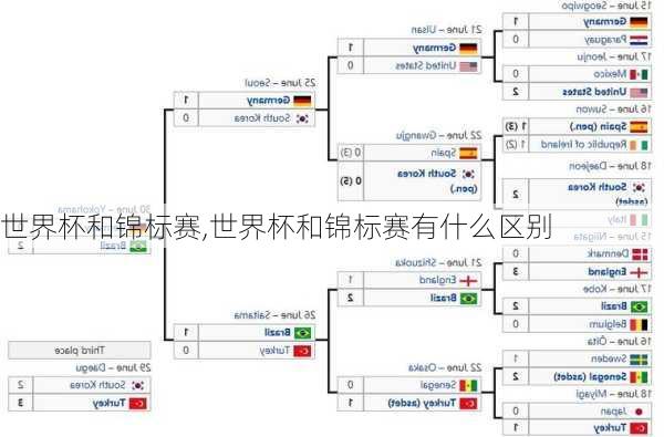 世界杯和锦标赛,世界杯和锦标赛有什么区别