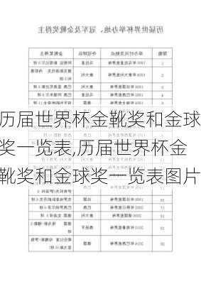 历届世界杯金靴奖和金球奖一览表,历届世界杯金靴奖和金球奖一览表图片