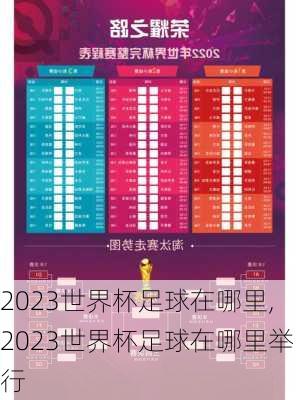 2023世界杯足球在哪里,2023世界杯足球在哪里举行