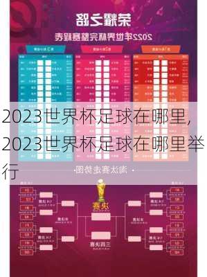 2023世界杯足球在哪里,2023世界杯足球在哪里举行