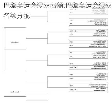 巴黎奥运会混双名额,巴黎奥运会混双名额分配