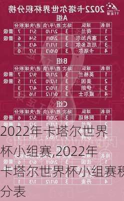 2022年卡塔尔世界杯小组赛,2022年卡塔尔世界杯小组赛积分表