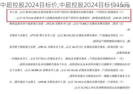 中超控股2024目标价,中超控股2024目标价15元