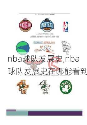 nba球队发展史,nba球队发展史在哪能看到