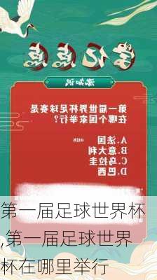 第一届足球世界杯,第一届足球世界杯在哪里举行