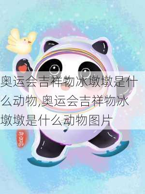 奥运会吉祥物冰墩墩是什么动物,奥运会吉祥物冰墩墩是什么动物图片