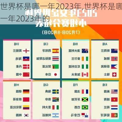 世界杯是哪一年2023年,世界杯是哪一年2023年的