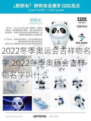 2022冬季奥运会吉祥物名字,2022冬季奥运会吉祥物名字叫什么