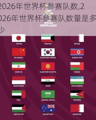 2026年世界杯参赛队数,2026年世界杯参赛队数量是多少