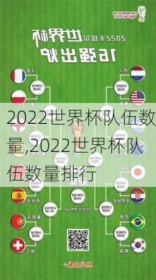 2022世界杯队伍数量,2022世界杯队伍数量排行