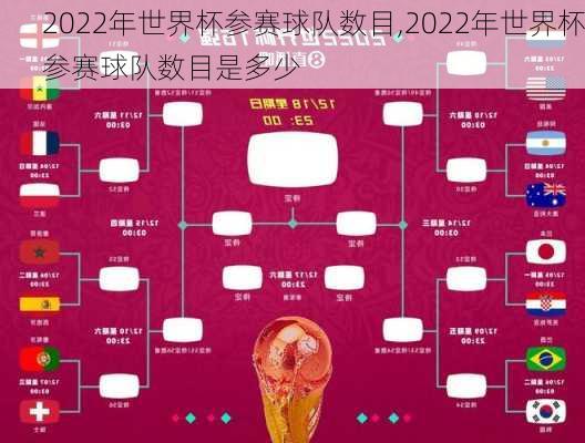 2022年世界杯参赛球队数目,2022年世界杯参赛球队数目是多少