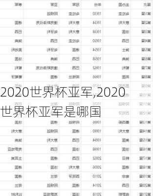 2020世界杯亚军,2020世界杯亚军是哪国