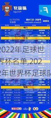 2022年足球世界杯名单,2022年世界杯足球队