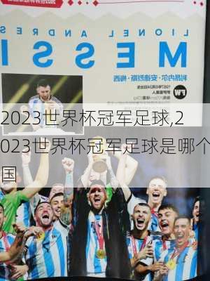 2023世界杯冠军足球,2023世界杯冠军足球是哪个国