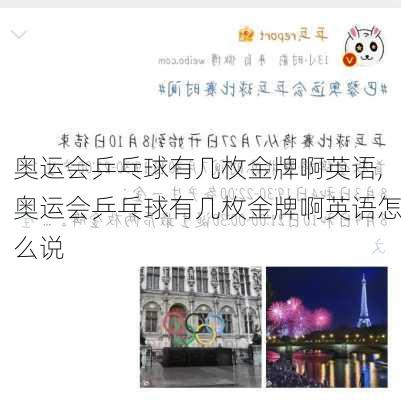 奥运会乒乓球有几枚金牌啊英语,奥运会乒乓球有几枚金牌啊英语怎么说