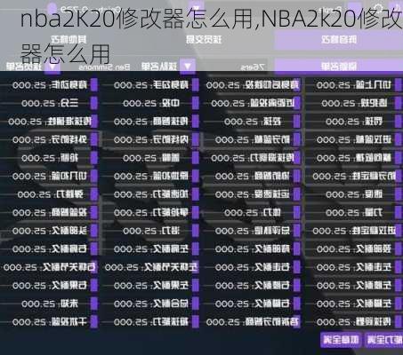 nba2K20修改器怎么用,NBA2k20修改器怎么用