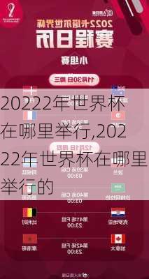 20222年世界杯在哪里举行,20222年世界杯在哪里举行的