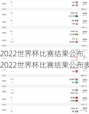 2022世界杯比赛结果公布,2022世界杯比赛结果公布表