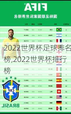 2022世界杯足球排名榜,2022世界杯排行榜