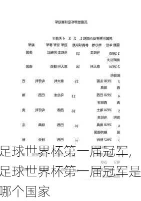 足球世界杯第一届冠军,足球世界杯第一届冠军是哪个国家