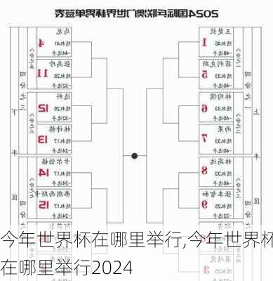 今年世界杯在哪里举行,今年世界杯在哪里举行2024