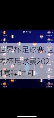 世界杯足球赛,世界杯足球赛2024赛程时间