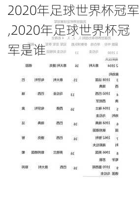 2020年足球世界杯冠军,2020年足球世界杯冠军是谁